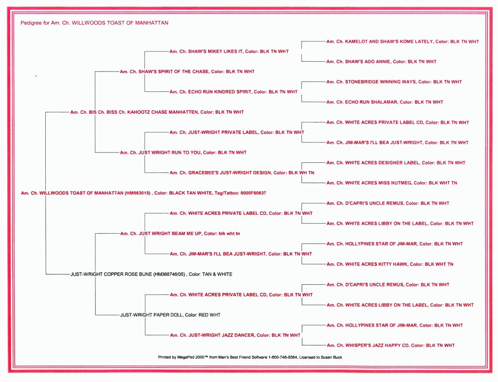 Buddy's Pedigree