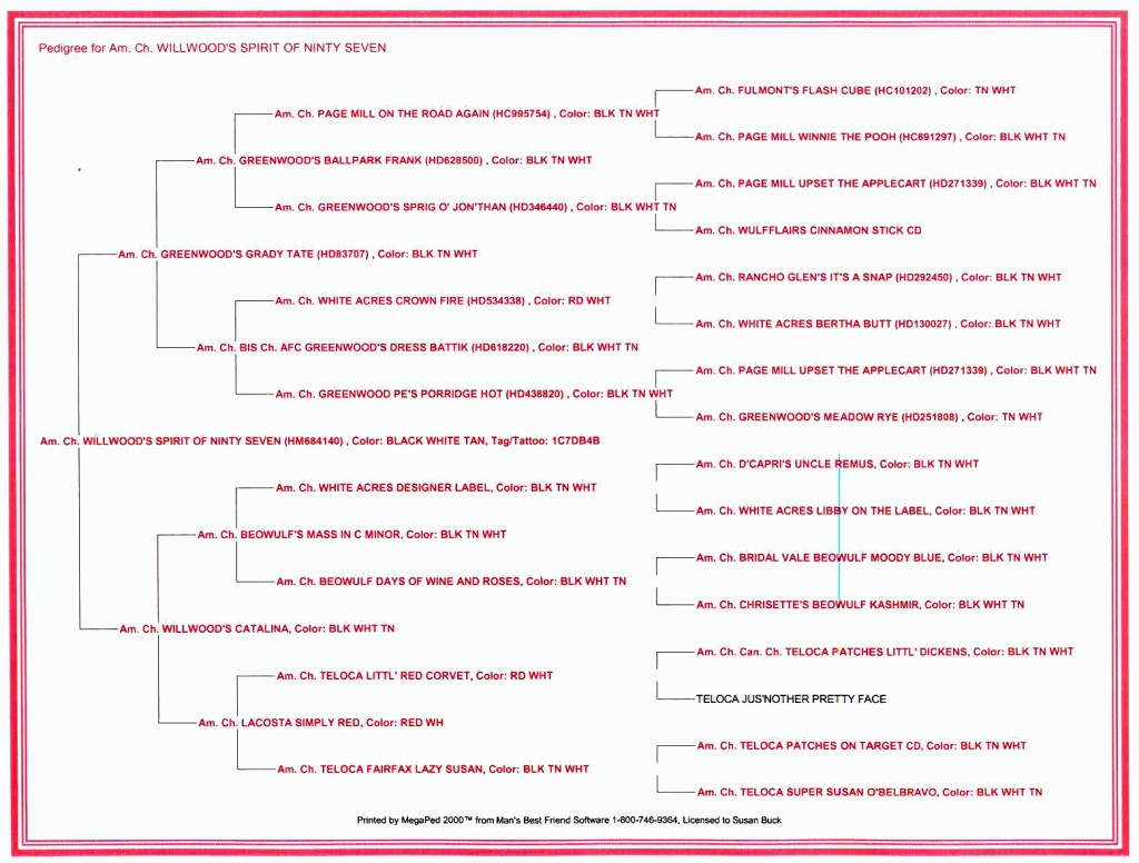 Pedigree of CH Ninty Seven